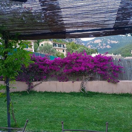 Filoses 18A Valldemossa  Extérieur photo